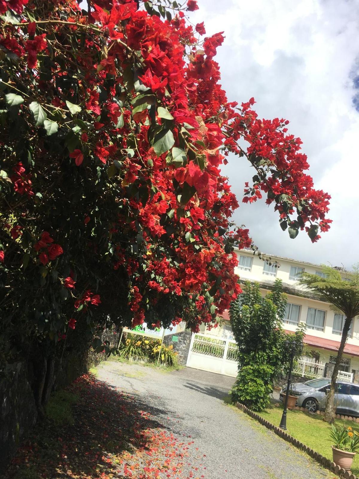 Relais Des Gouverneurs ซาลาซี ภายนอก รูปภาพ